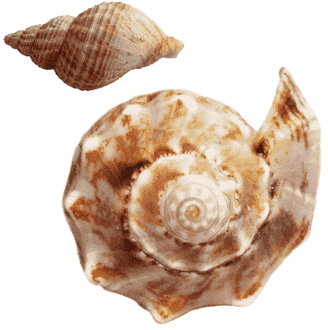 Hotel Milton Prezzi Stagione Grafica